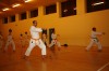 Allenamento di karate