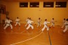 Allenamento di karate