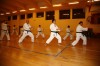 Allenamento di karate