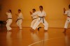 Allenamento di karate