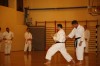 Allenamento di karate