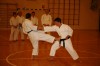 Allenamento di karate